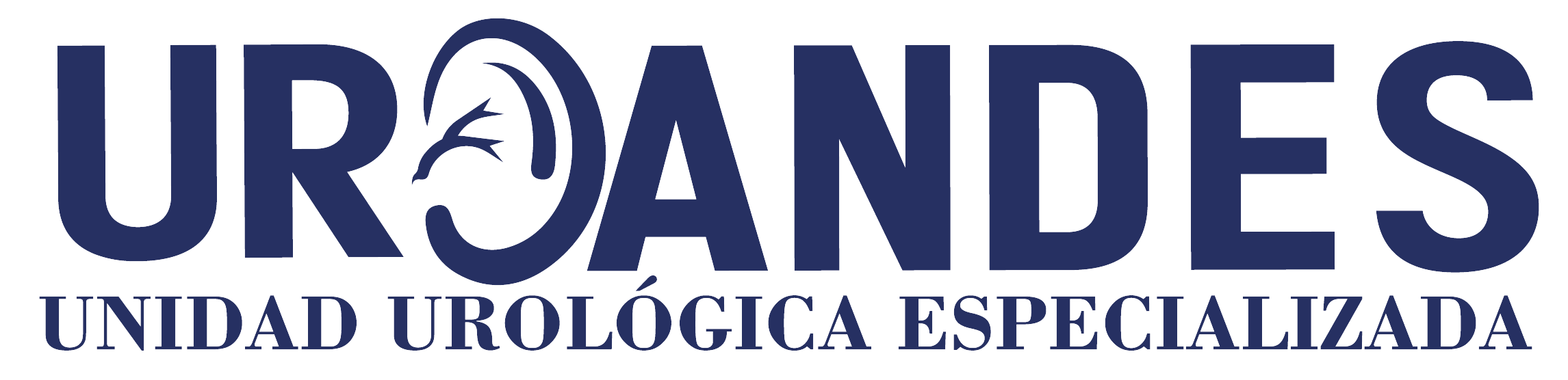 uroandes.com